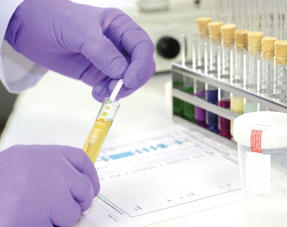 Ensuring Workplace Safety With 12 Panel Drug Tests